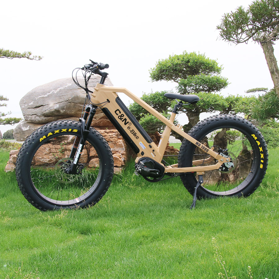 Kit de Conversión de Bicicleta - Mid Drive Conversion Kit 1000W reseña y precio