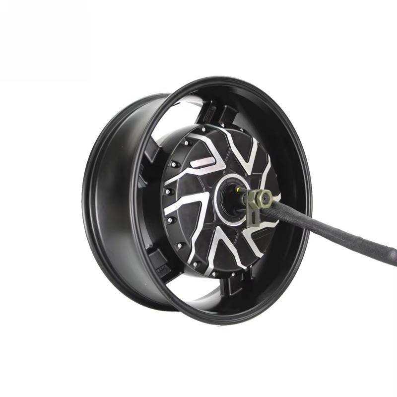QSMOTOR Motor Eléctrico de Rue - 12000W Electric Motorcycle Hub Motor reseña y precio