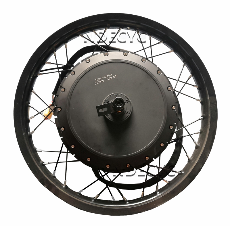 NBpower/QS V3 273 40H motocicl - 72V 8000W Brushless Hub Motor reseña y precio